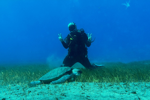 Curso de mergulho para iniciantes na área das tartarugas em TenerifeCurso de mergulho privado para iniciantes no parque natural de Tenerife