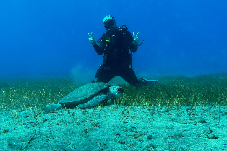 Curso de mergulho para iniciantes na área das tartarugas em TenerifeCurso de mergulho privado para iniciantes no parque natural de Tenerife