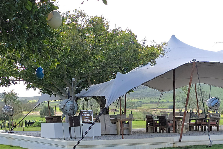 Cape Town: Ostrich Ranch Safari with Hotel Transfer