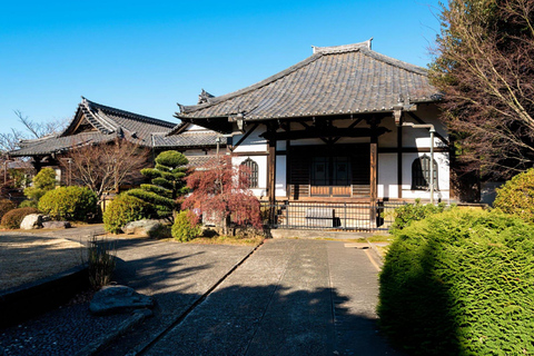 Best of Tokyo: Guided Full Day City Tour with Lunch