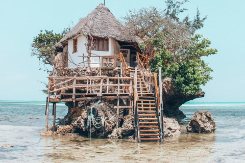 ZANZIBAR: Las Jozani, żółwie morskie i restauracja The RockWycieczka prywatna bez odbioru z hotelu i transportu powrotnego