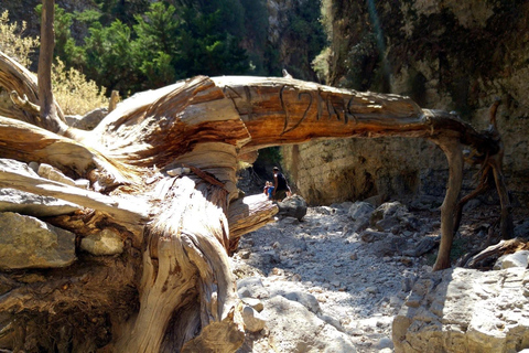 De Rethymno/Chania: caminhada pelo desfiladeiro de Imbros