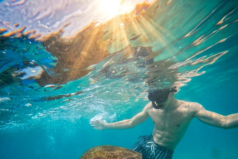 Mirissa Guided Snorkeling Tour with Sea Turtle & Coral Reef