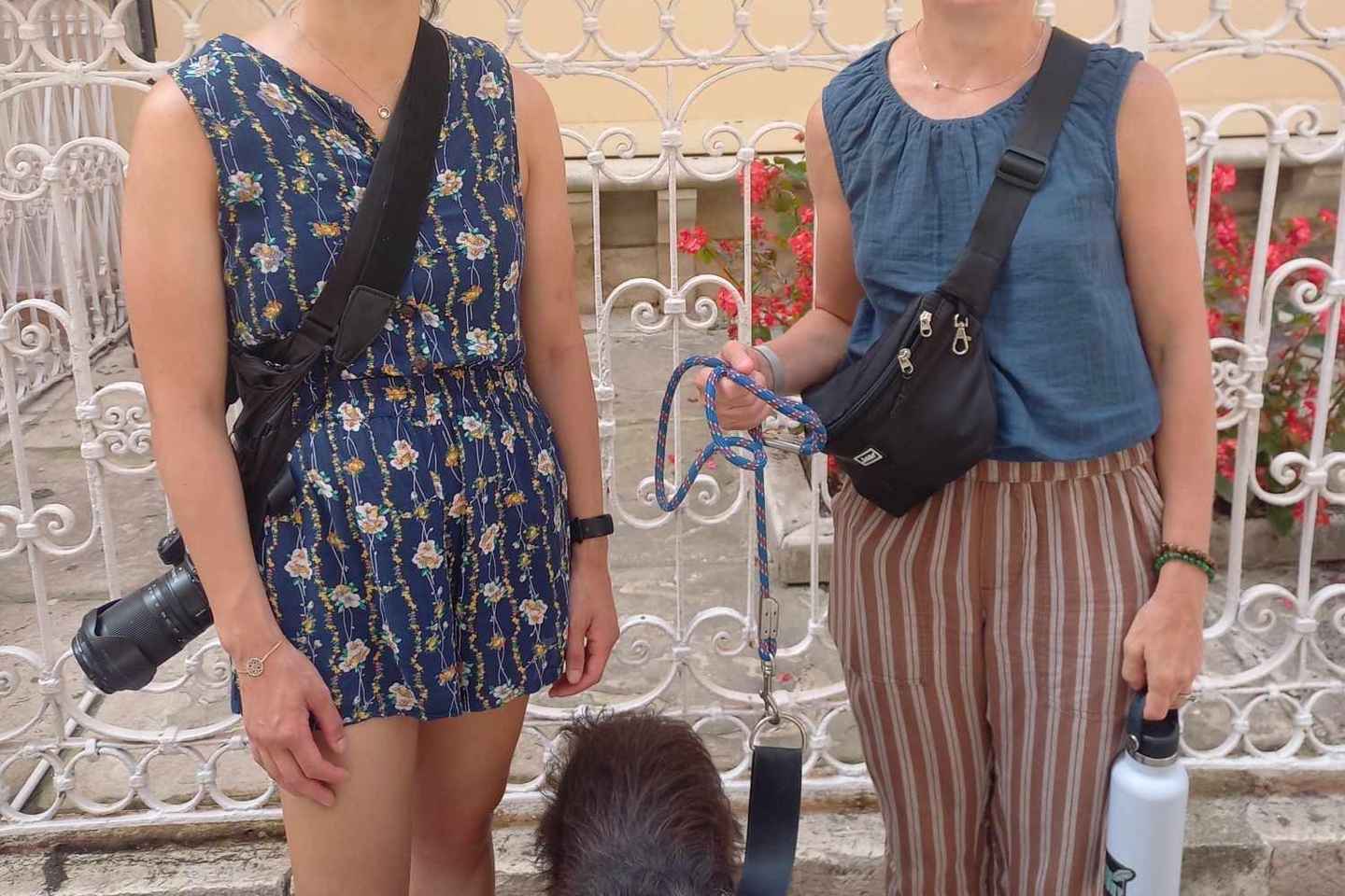 Corfu: Dog Sightseeing Tour - Corfu: Dog Sightseeing Tour