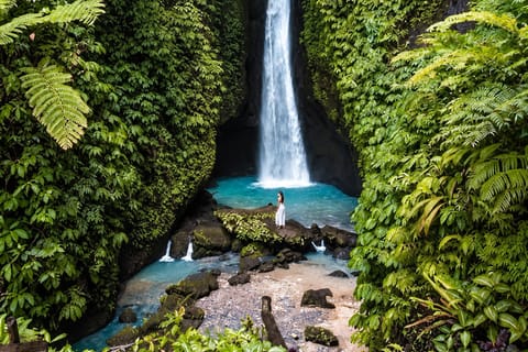 Bali: Sangeh, Leke Leke, Jatiluwih, & Luhur Batukau Tour