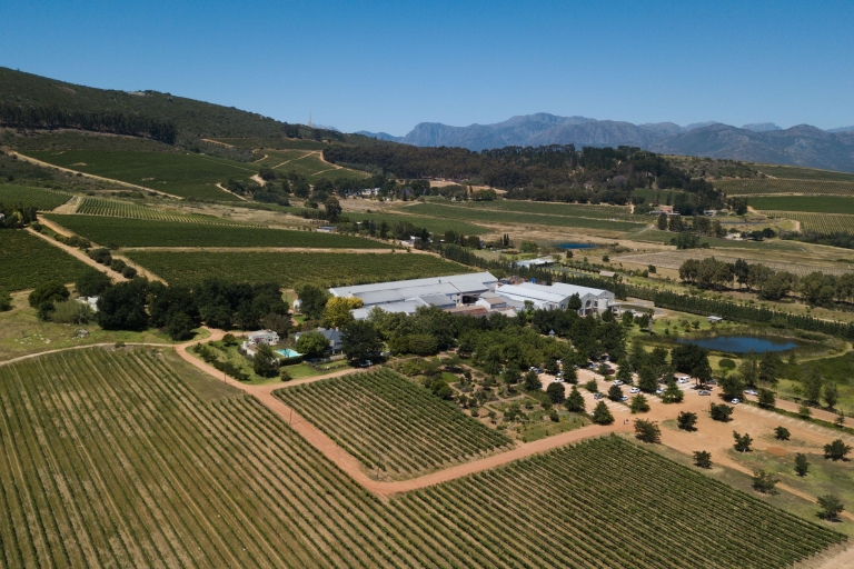 Stellenbosch : Excursion d'une demi-journée à la découverte des vins