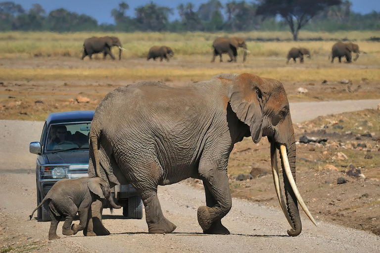 3-day camping safari in Amboseli National Park Safari