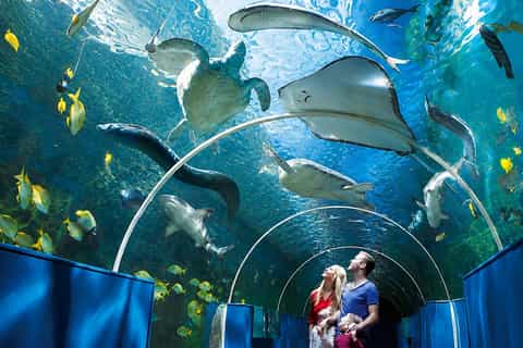 Cebu: Above the City, Beneath the Sea - Image 3