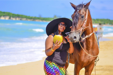 Découvrez les sentiers de Punta Cana lors d&#039;une promenade à cheval