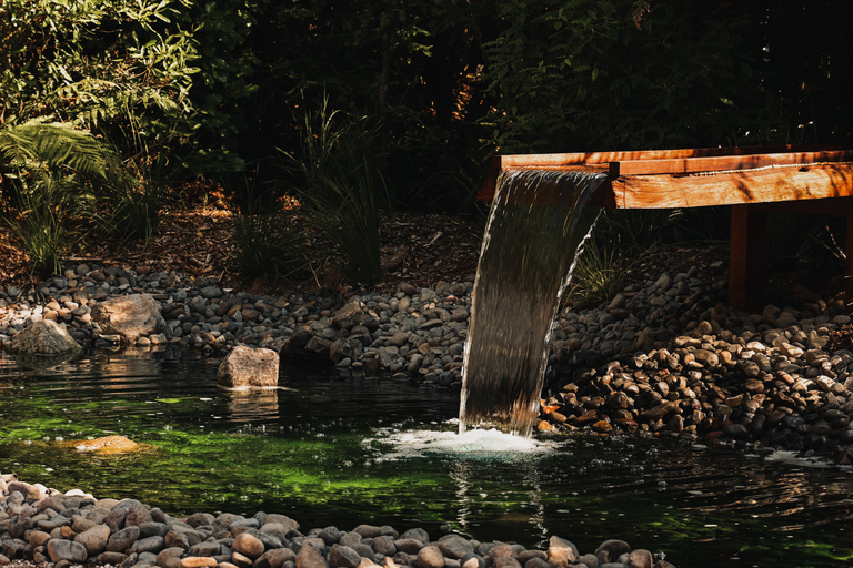 Rotorua Private Sauna & Cold Plunge at Secret Spot Hot Tubs