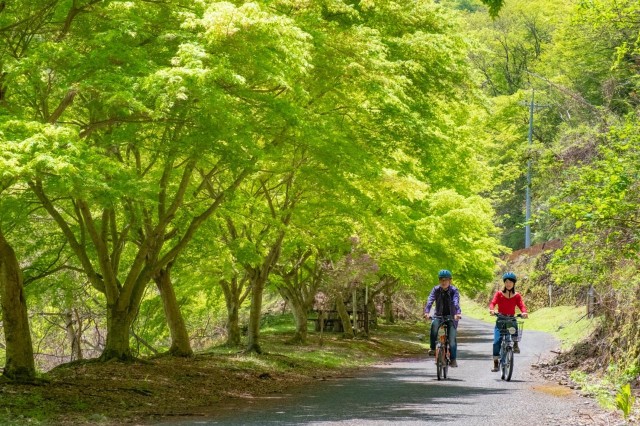 Visit Tokyo Escape the city to a cultural cycle in the mountains. in Hachioji, Japan