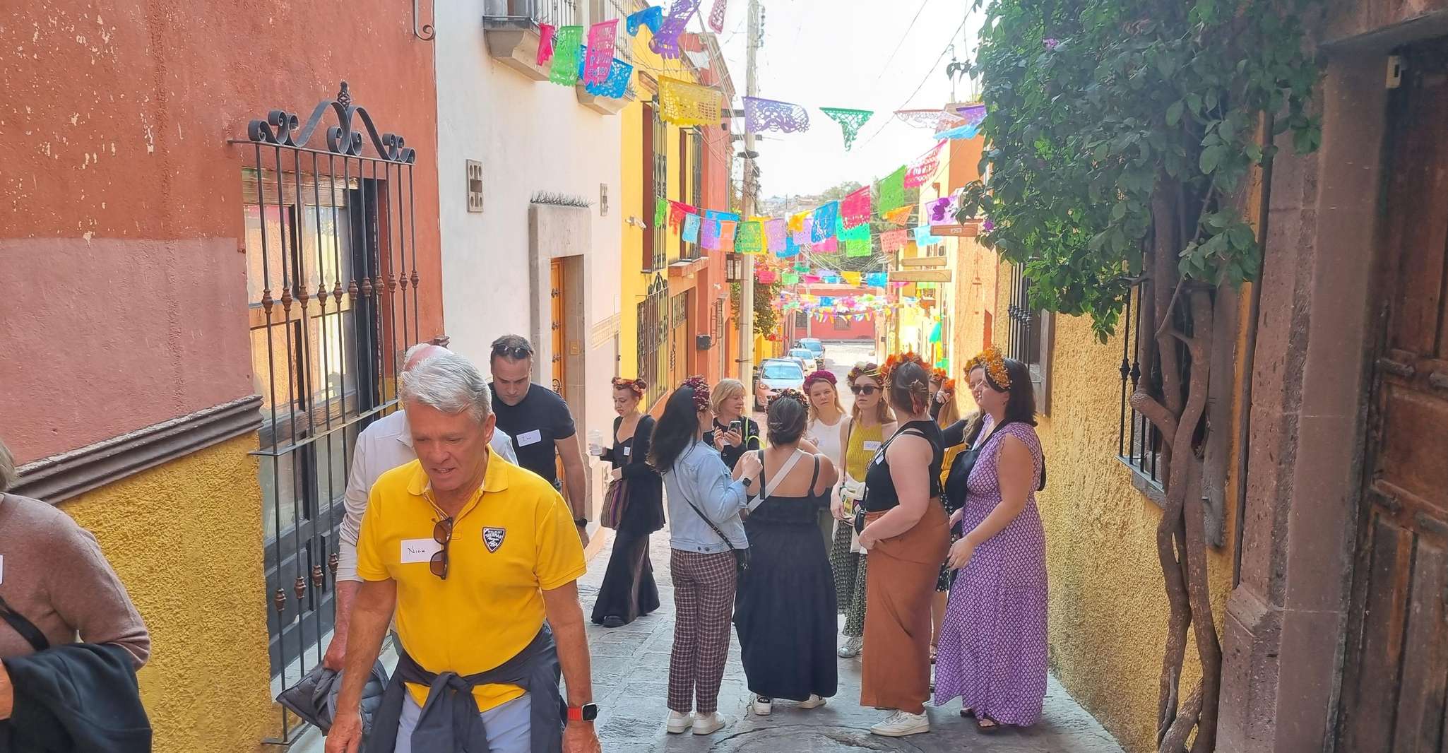 Historical & Cultural Walking Tour of San Miguel de Allende - Housity