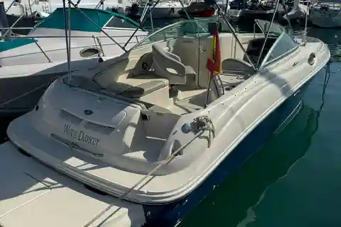 Marbella: Puerto Banus Boat Trip with Dolphin Watching
