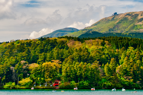Tokyo: Mount Fuji And Hakone Private Tour Full Customizable