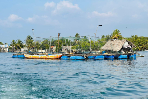 From Negombo: Boat Tour of Negombo Lagoon