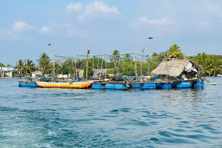 From Negombo: Boat Tour of Negombo Lagoon