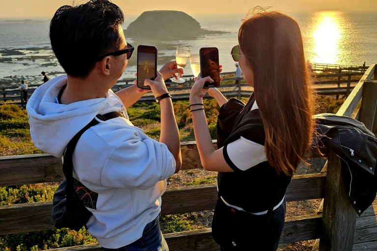 Phillip Island: Golden Hour Penguin Express-tourPhillip Island: Gouden Uur Pinguïn Express Tour