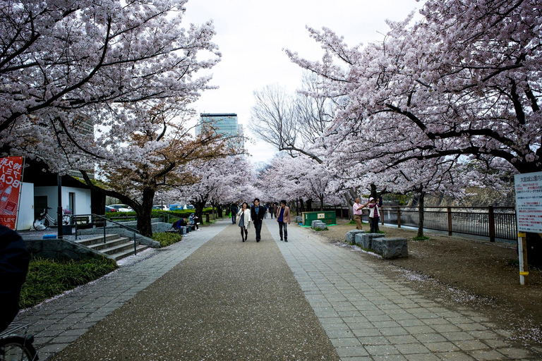 Osaka: Osaka Castle & Samurai History Walking Tour Small Group Tour with Entrance fee