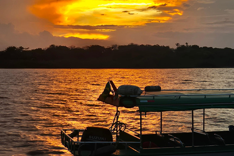 Manaus: Private Amazon Sunset and Night Tour by Speedboat