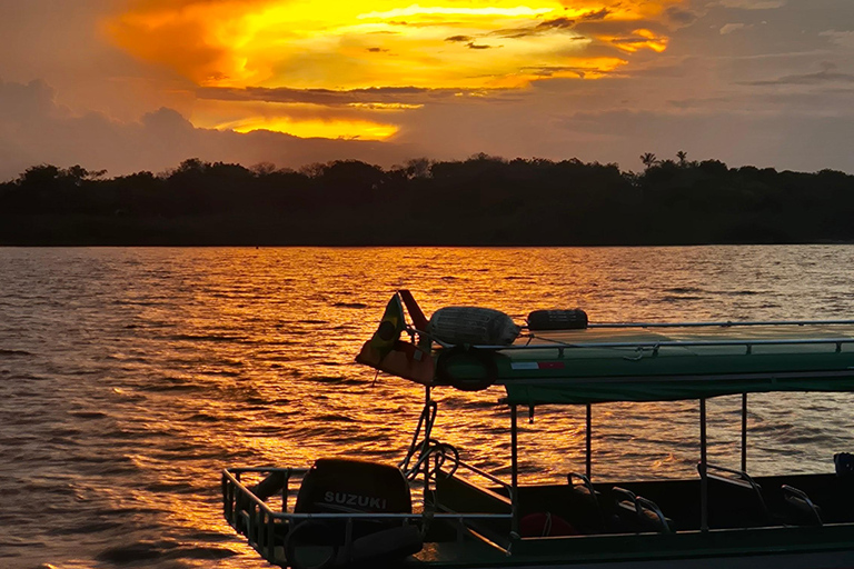 Manaus: Private Amazon Sunset and Night Tour by Speedboat