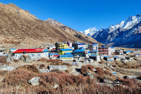 Pokhara : 6 jours de trek au LangtangPokhara : 6 jours de trek Langtang Service Package