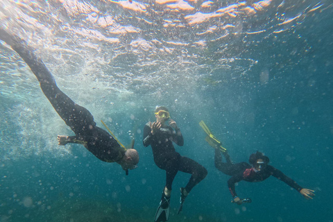 Islet of Vila Franca do Campo - Kayak Rental and Snorkeling
