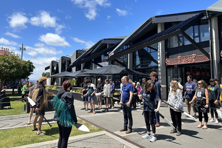 Wellington: Tour guiado em Waka (experiência cultural maori)