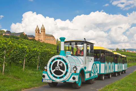 Tour panoramico di Rüdesheim con il Winzerexpress