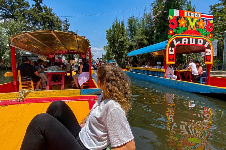 Mexico City: Xochimilco Party with Taco Dinner & Transport