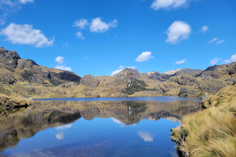 Cajas nationalpark Dagsutflykt med lunchPrivat tur med uppgraderad lunch