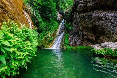 Budva: Drenostica Canyon Canyoning Adventure