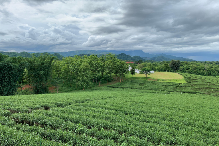 Chiang Rai Discovery:7 Attractions, Tickets & Lunch Included Chiang Rai Discovery: Full-Day Tour with Lunch & Entry Fees