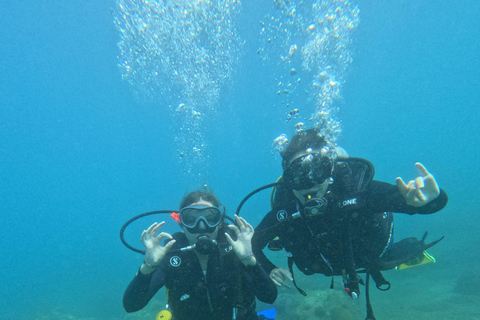 Santa Marta: Discover Scuba Diving at a Private Beach ️
