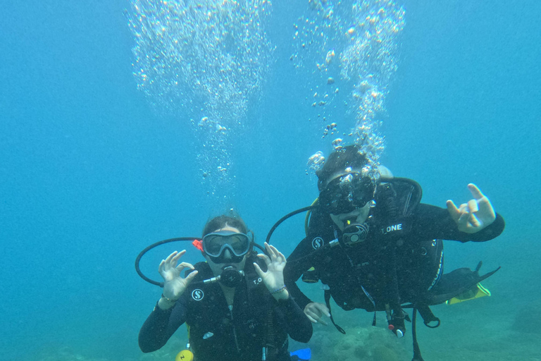 Santa Marta: Discover Scuba Diving at a Private Beach ️