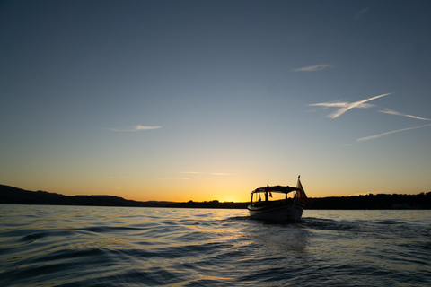 Privéboottocht op het Vierwoudstedenmeer vanuit Luzern