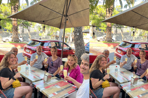 Santiago: Pisco Sour Tour