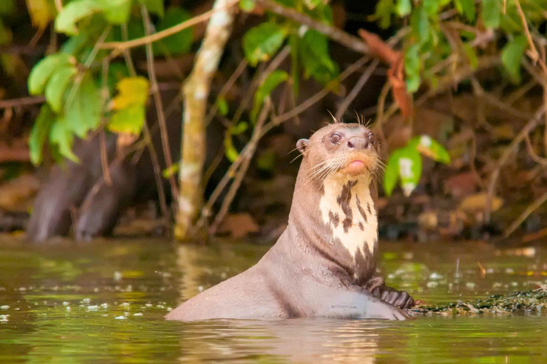 Iquitos: Recorrido por el norte del Amazonas en 4 días