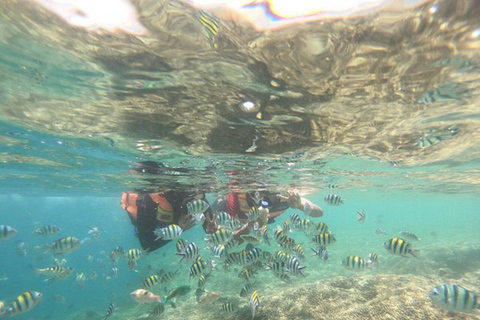 Lombok : Gili Rengit, Gili Gede et Gili Layar en plongée avec masque et tuba