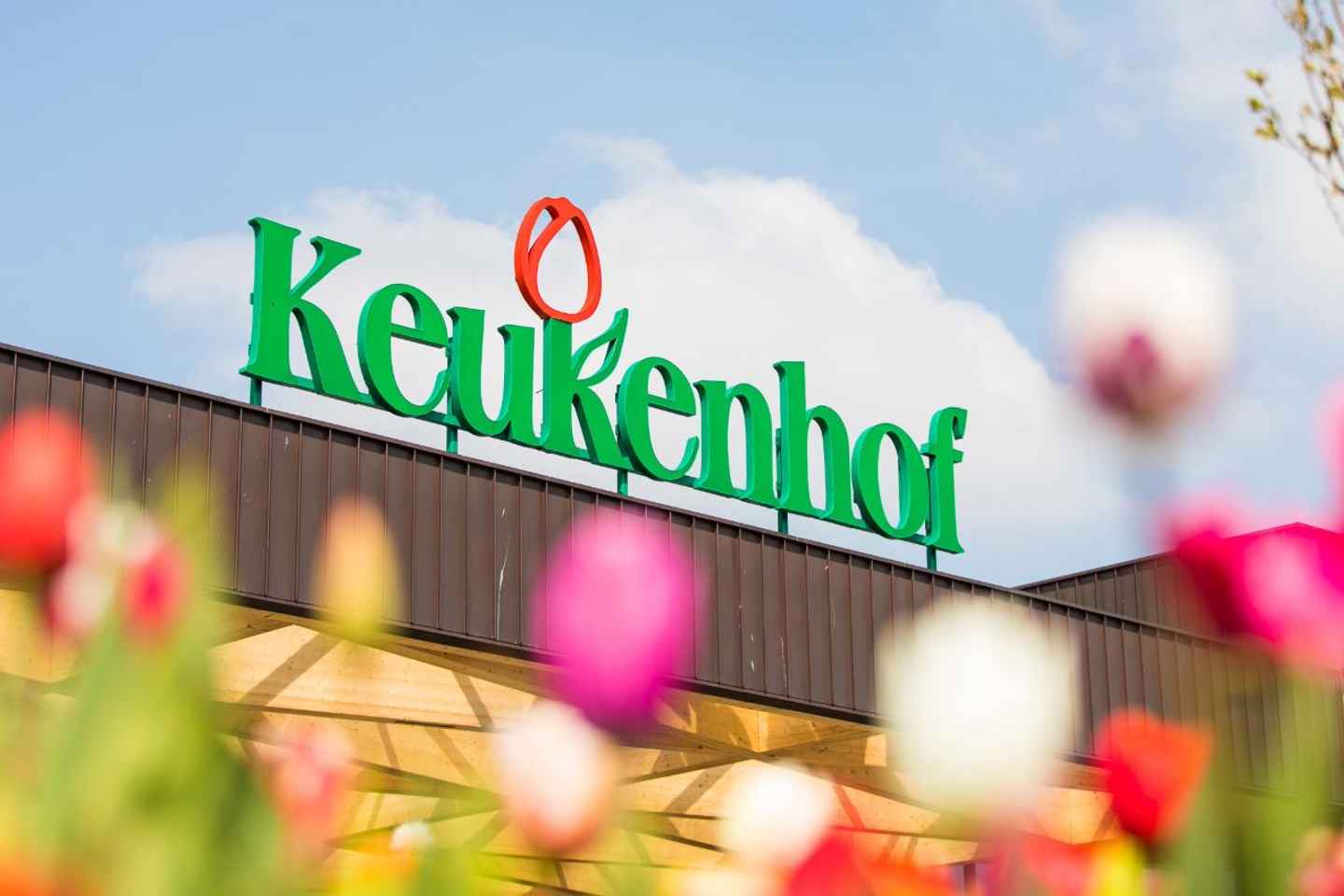 Из Амстердама: Экскурсия в Кёкенхоф и Круиз по Каналам