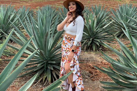 Mazatlan: Mezcal Factory Tour with Tasting and Lunch