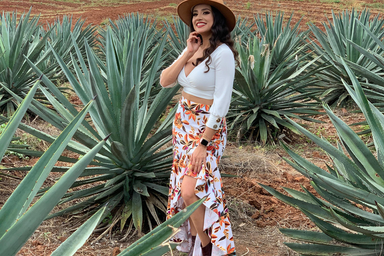 Mazatlan: Mezcal Factory Tour with Tasting and Lunch