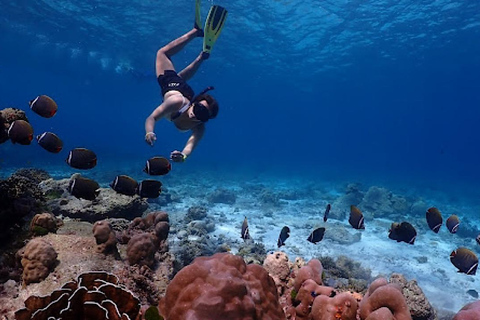 Depuis Khao Lak : Excursion d&#039;une journée aux îles Similan avec plongée en apnéeKhao Lak : Excursion d&#039;une journée aux îles Similan avec plongée en apnée le matin