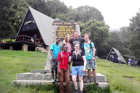 Kilimanjaro: Privat 1-dagars vandring med certifierad guide