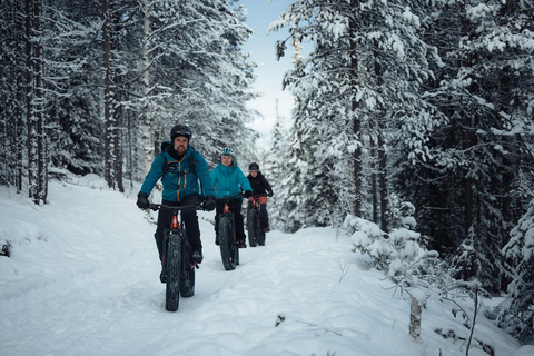 Levi, Lapland: E-Fatbike trip to white nature
