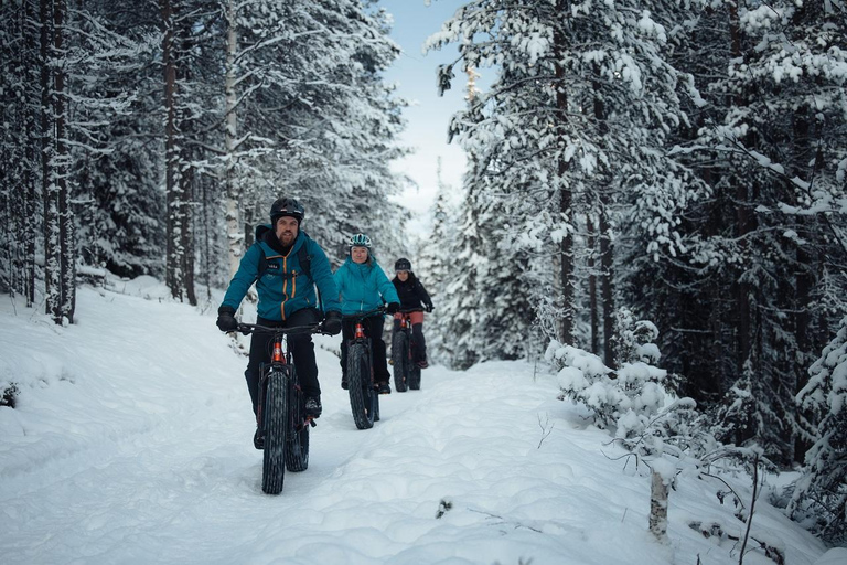 Levi, Lapland: E-Fatbike trip to white nature