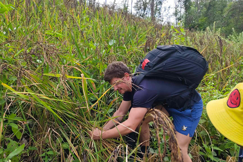 Chiang Mai: 2-dagars djungelvandring med elefantfarm och forsränning