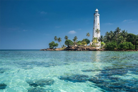 Galle: Private Colombo/Airport Transfer with Turtle Stop