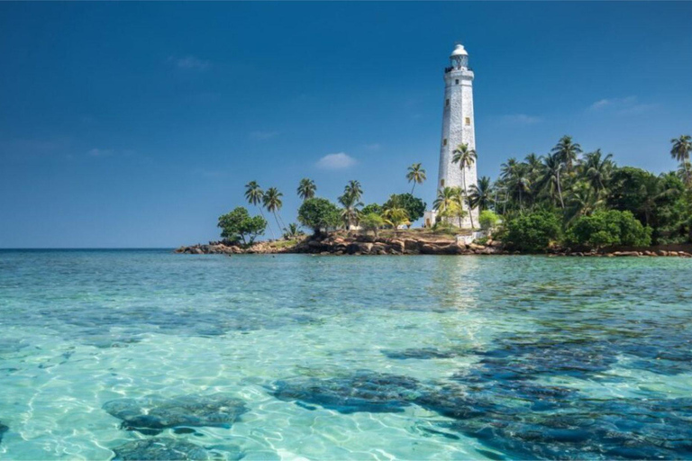 Galle: Private Colombo/Airport Transfer with Turtle Stop