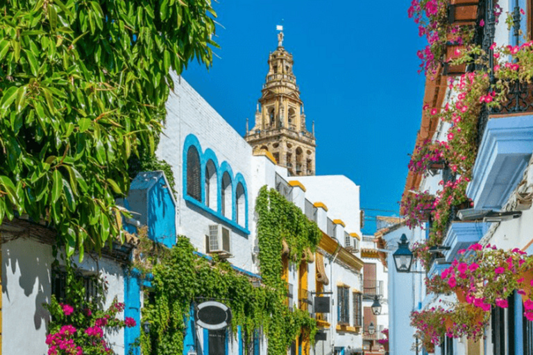 Cordoba Private Daytrip from Sevilla by train