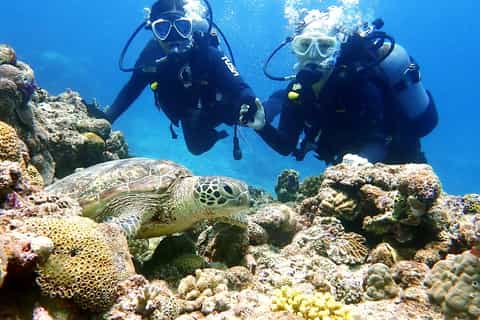 The best Okinawa Diving 2026 - Free cancellation | GetYourGuide